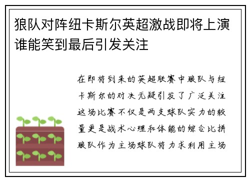 狼队对阵纽卡斯尔英超激战即将上演谁能笑到最后引发关注