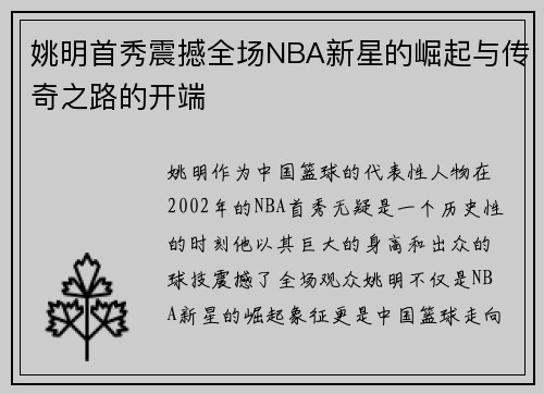 姚明首秀震撼全场NBA新星的崛起与传奇之路的开端