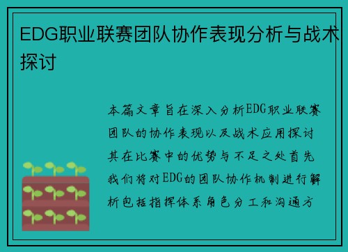EDG职业联赛团队协作表现分析与战术探讨