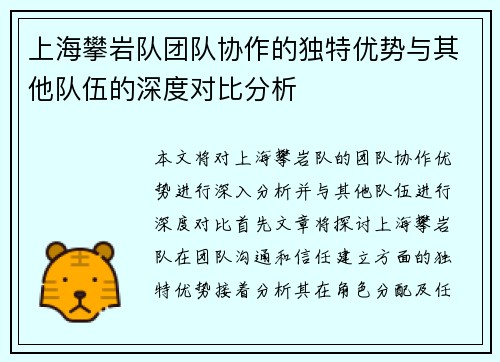上海攀岩队团队协作的独特优势与其他队伍的深度对比分析