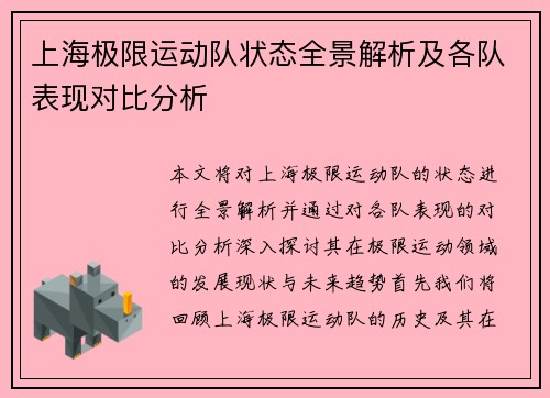 上海极限运动队状态全景解析及各队表现对比分析