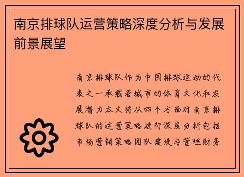 南京排球队运营策略深度分析与发展前景展望